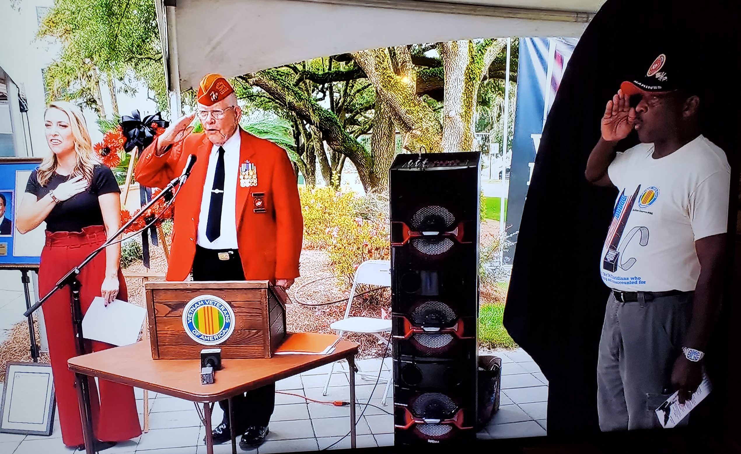 pledge salute john henry 91721